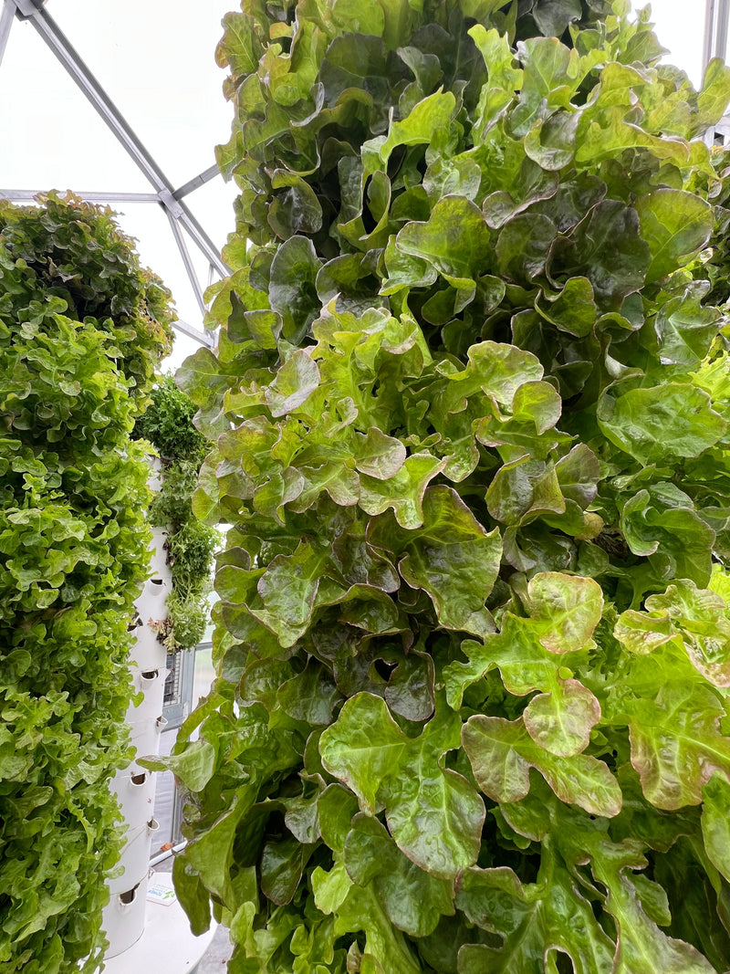 Fresh Produce