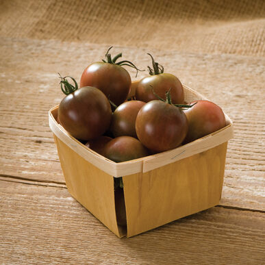 Tomatoes-Black cherry baby