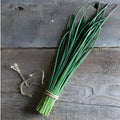 Chives
