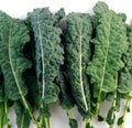 Kale- Toscano