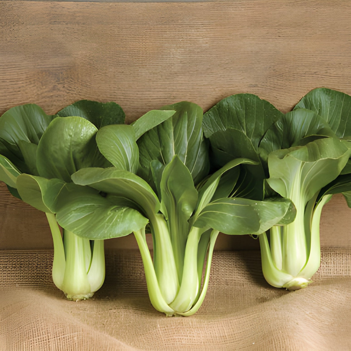 Pac Choi
