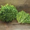 Frisee lettuce