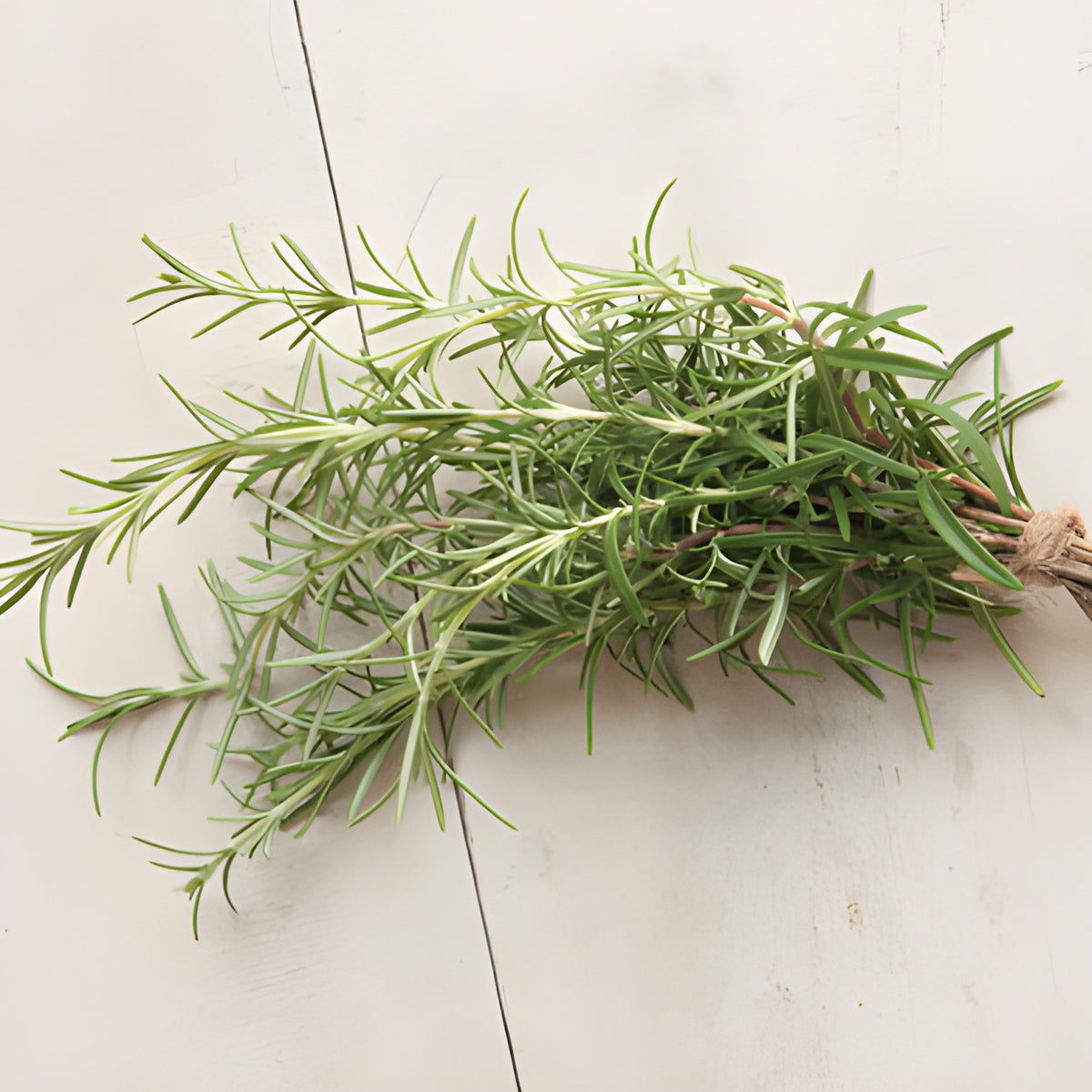Rosemary