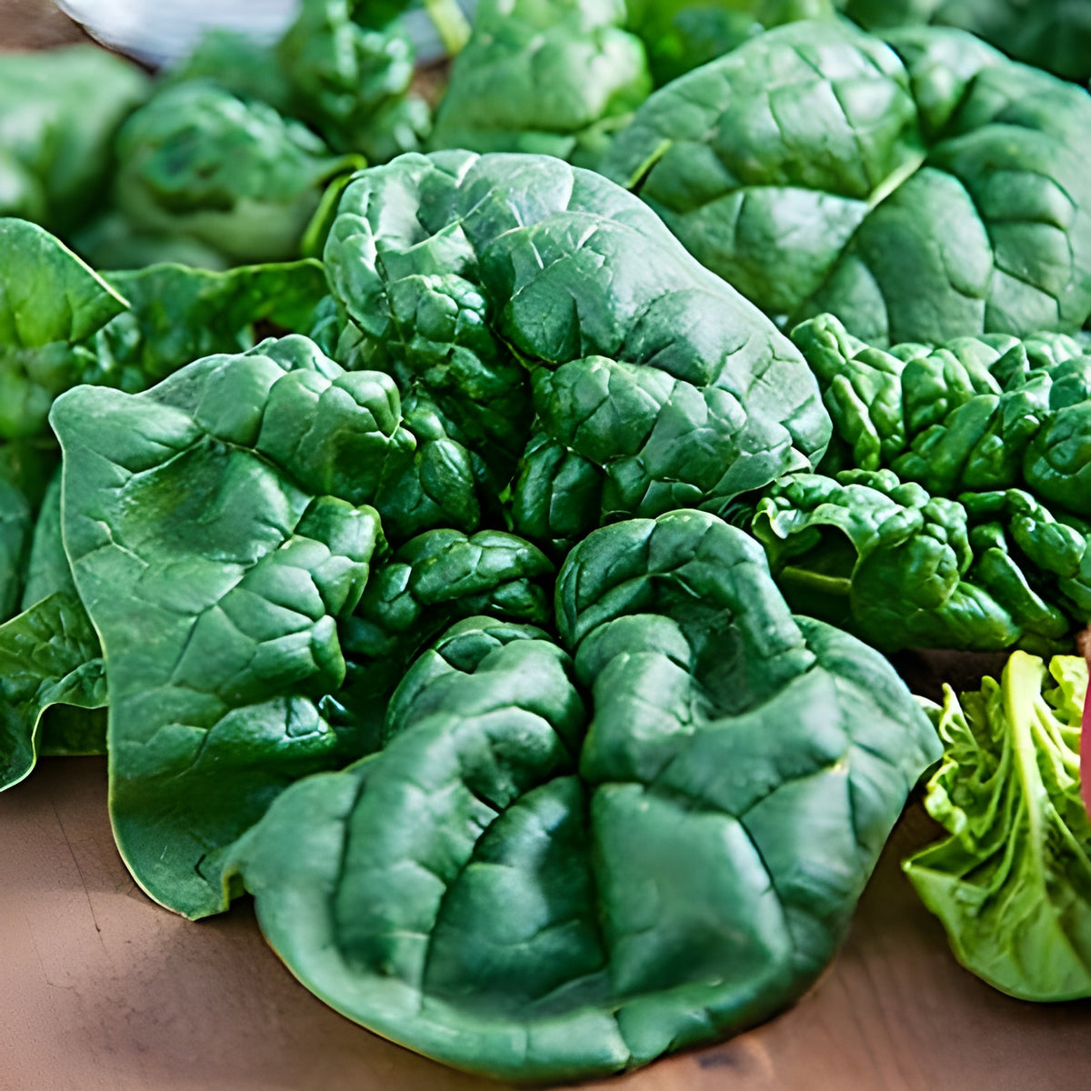 Spinach