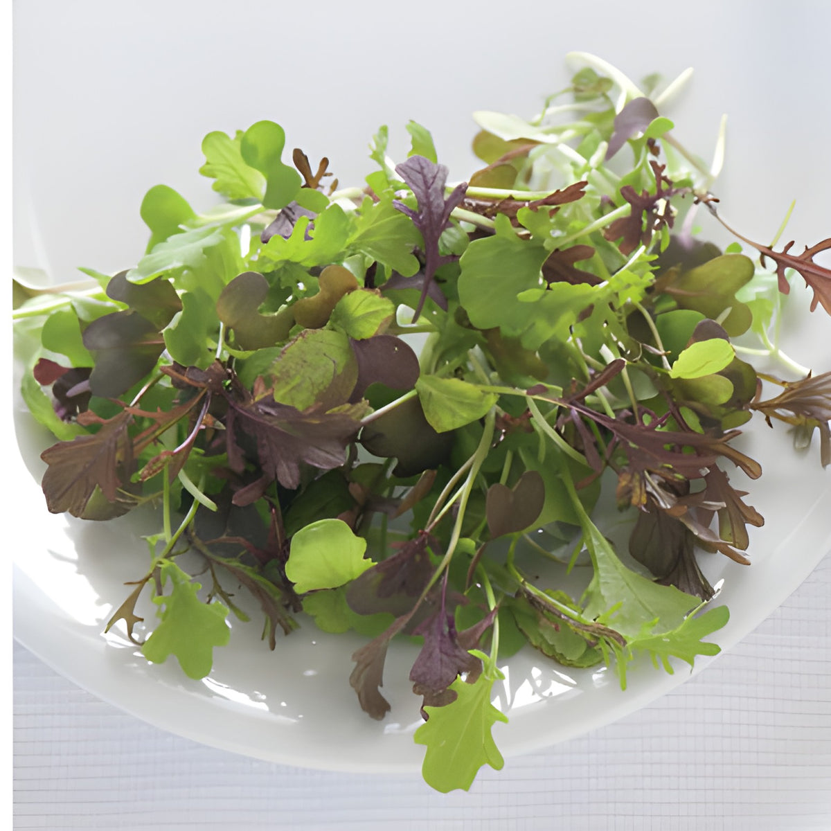 Lettuce – Baby Greens